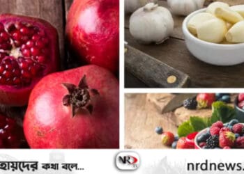 যে খাবার রক্ত চলাচল ঠিক রাখে