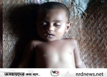 আজমিরীগঞ্জে পুকুরে ডুবে শিশুর মৃত্যুু