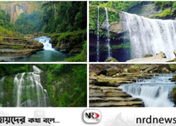 বাংলাদেশের সবচেয়ে সুন্দর ও আকর্ষণীয় কয়েকটি জলপ্রপাত বা ঝরনা সম্পর্কে জানেন কি ?