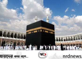 ছবি: ইন্টারনেট থেকে নেওয়া ।