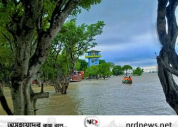 বর্ষায় ঘুরে আসুন টাঙ্গুয়ার হাওরে