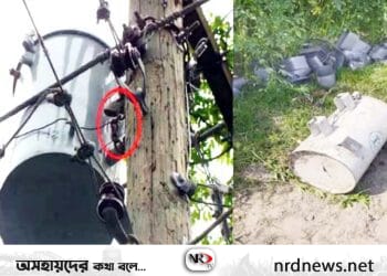 মাধবপুরে বৈদ্যুতিক ট্রান্সফর্মার চুরির হিড়িক