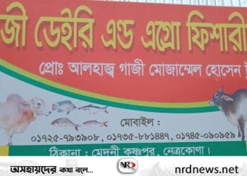 নেত্রকোণায় কুরবানির জন্য ১২০টি দেশীয় নিখুঁত ষাঁড় গরু প্রস্তুুত করেছে গাজী ডেইরি এন্ড এগ্রো ফিশারীজ