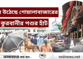 জমে উঠেছে গোয়ালাবাজারে কুরবানীর পশুর হাঁট