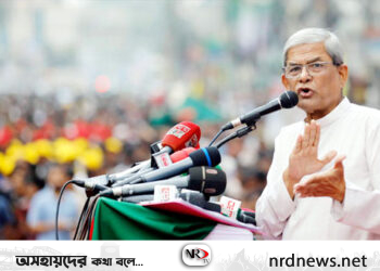 দেশটা কারও বাবার নয় : মির্জা ফখরুল