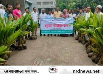 নড়াইলে নারিকেল গাছের চারা বিতরণ
