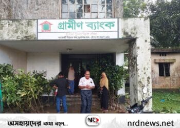 গ্রামীণ ব্যাংকের উদ্যোগে সুনামগঞ্জ যোনের আওতাধীন শাখায় চলছে বৃক্ষরোপন কর্মসূচি