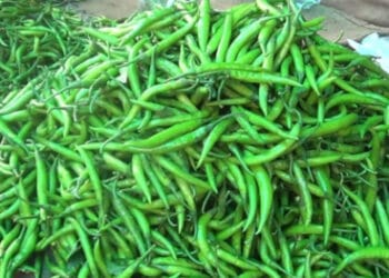 কাঁচা মরিচ ঝাল কমল