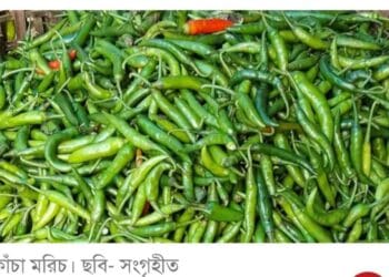 স্থলবন্দর দিয়ে ১০০ মেট্রিক টন কাঁচা মরিচ দেশে এসেছে