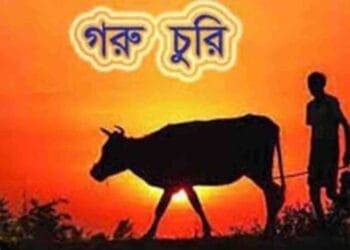 দিরাইয়ে দুই কৃষকের ৮টি গরু চুরি হয়েছে