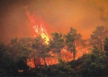 ইউরোপজুড়ে তীব্র দাবানলের সঙ্গে লড়াই করছে দ্বীপটি