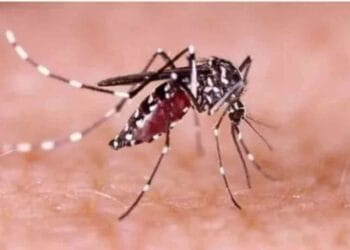 গত ২৪ ঘণ্টায় ডেঙ্গুজ্বর নিয়ে হাসপাতালে ভর্তি ২৭৩১ জন