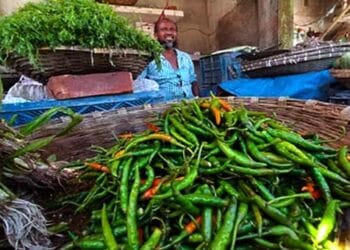 সিলেটে কাঁচা মরিচের ঝালে বাজার গরম, কেজি৮০০টাকা