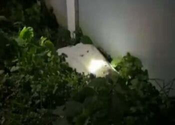 পল্লীতে এক কিশোরীর বস্তাবন্দি লাশ উদ্ধার করেছে পুলিশ