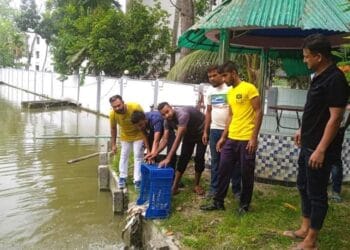নড়াইল জেলা পুলিশের উদ্যোগে মৎস্য পোনা অবমুক্তকরণ