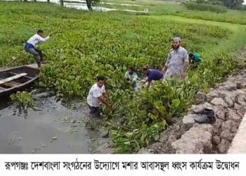 রূপগঞ্জে দেশবাংলা সংগঠনের উদ্যাগে ডেঙ্গু মশার নিধনে কার্যক্রম উদ্বোধন