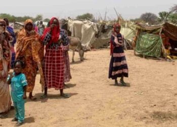 নৃশংস সংঘাতে বিধ্বস্ত দেশটিতে চরম খাদ্য সংকট বেড়েই চলেছে সুদান