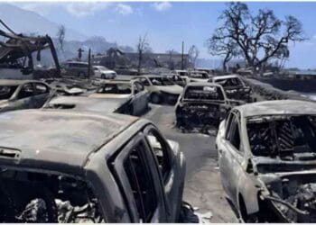 দাবানলে বিপর্যস্ত যুক্তরাষ্ট্রের মৃতের সংখ্যা বেড়ে চলছে মাউয়ি দ্বীপ