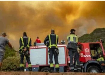 স্পেনের পাহাড়ের দুই দিকে ২২ কিলোমিটার এলাকা জুড়ে জঙ্গল জ্বলছে