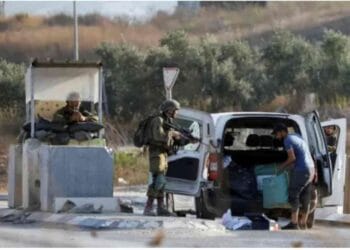 দুই শতাধিক বেশি ফিলিস্তিনি ও ৩০ জন ইসরায়েলি নিহত হয়েছে