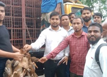 ছাতকে প্রাণিসম্পদ দপ্তরের হাঁস বিতরণ করছেন ডাঃ ইমান আল হোসাইন