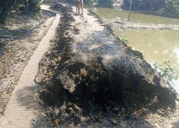 শান্তিগঞ্জে যুবলীগ নেতা ব্যক্তিগত মাটি রাস্তায় রাখায় সাধারণ জনগণের ভোগান্তি