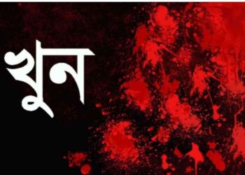 সুনামগঞ্জ দিরাইয়ে চাচার হাতে ভাতিজা খুন