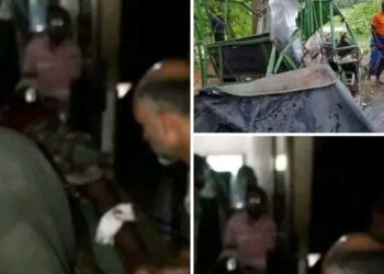 কুষ্টিয়ায় বাসের ধাক্কায় প্রাণ গেলো ইজিবাইকের দুই যাত্রী