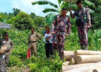 বিজিবির অভিযানে বিপুল পরিমাণ সেগুন গামারি গোল কাঠ জব্দ