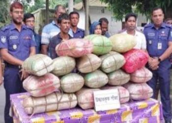 পাথরবাহী ট্রাকের ভেতর থেকে ১ মণ ২৪ কেজি গাঁজাসহ ট্রাকচালককে আটক