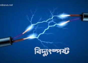 সুনামগঞ্জের লালপুরে পুকুরে গোসল করতে নেমে বিদ্যুৎস্পৃষ্ট হয়ে একজনের মৃত্যু