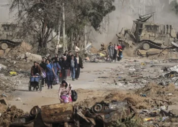 আংশিক যুদ্ধবিরতির পর গাজায় খাদ্য সহায়তা পৌঁছেছে, চাহিদা তীব্র