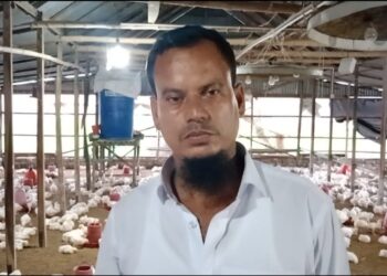 তাড়াশে মুরগি ও কোয়েল খামারে স্বাবলম্বী রবিউল