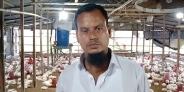 তাড়াশে মুরগি ও কোয়েল খামারে স্বাবলম্বী রবিউল