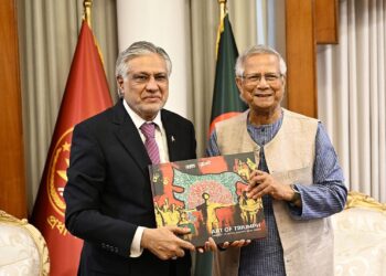 সার্ক পুনরুজ্জীবনে গুরুত্ব: প্রধান উপদেষ্টা ও পাকিস্তান উপপ্রধানমন্ত্রীর বৈঠক