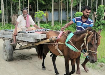চরাঞ্চলে পণ্য পরিবহনে এখনো ভরসা ঘোড়ার গাড়ি