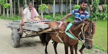 চরাঞ্চলে পণ্য পরিবহনে এখনো ভরসা ঘোড়ার গাড়ি