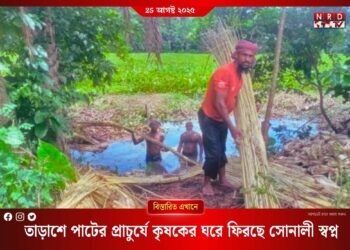 তাড়াশে আবারও জেগে উঠেছে সোনালী আঁশের স্বপ্ন!
