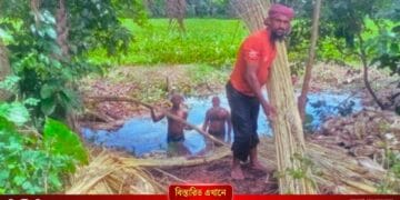 তাড়াশে আবারও জেগে উঠেছে সোনালী আঁশের স্বপ্ন!