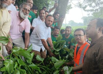 ধলাই নদীর প্রাণ ফেরাতে নেত্রকোনায় কচুরিপানা পরিষ্কার অভিযান
