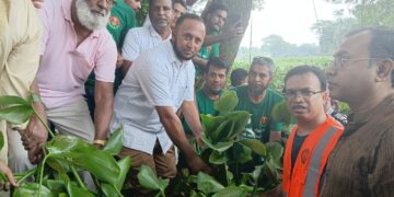 ধলাই নদীর প্রাণ ফেরাতে নেত্রকোনায় কচুরিপানা পরিষ্কার অভিযান