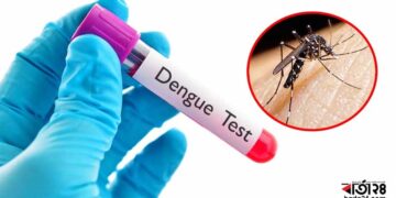 ডেঙ্গুতে একদিনে রেকর্ড ১২ জনের মৃত্যু, নতুন আক্রান্ত ৭৪০