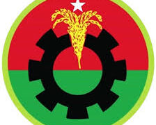 ডাকসু নির্বাচনে ভরাডুবি, বড় ধাক্কা খেল বিএনপি