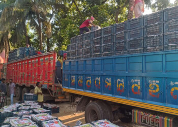 হিলি বন্দর দিয়ে টমেটো আমদানি শুরু