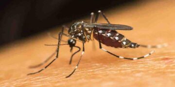 জনসচেতনতায় ডেঙ্গু প্রতিরোধ সম্ভব