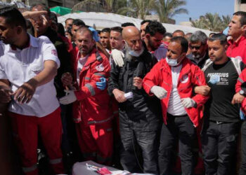 গাজায় ইসরাইলি হামলায় নিহত ১৫