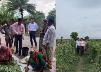 শিম চাষে আকলিমার সফলতা: নারীর ক্ষমতায়নের অনন্য দৃষ্টান্ত