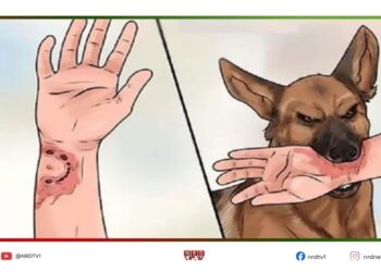 কুকুর কামড়ানোর পর প্রথম ১৫ মিনিটই সবচেয়ে গুরুত্বপূর্ণ!