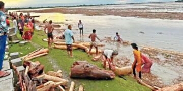 দুধকুমার ও ব্রহ্মপুত্রে ভেসে আসছে গুঁড়ি