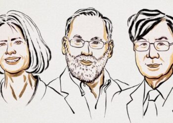 রোগপ্রতিরোধ ব্যবস্থার সুরক্ষা কৌশল উদ্ঘাটন